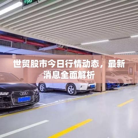 世贸股市今日行情动态，最新消息全面解析