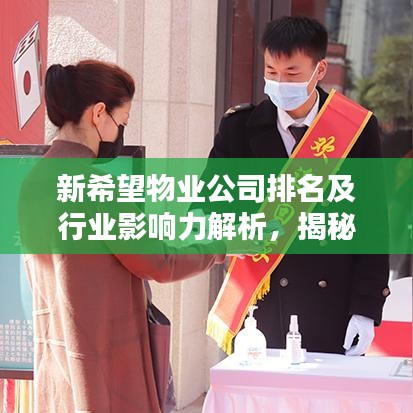 新希望物业公司排名及行业影响力解析，揭秘其在业界的地位与影响力