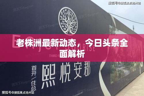 老株洲最新动态，今日头条全面解析