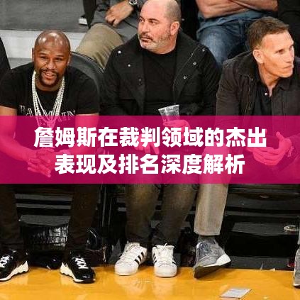 詹姆斯在裁判领域的杰出表现及排名深度解析