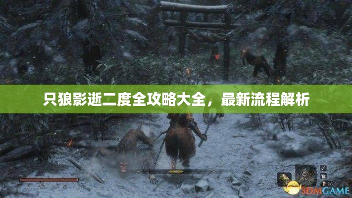 只狼影逝二度全攻略大全，最新流程解析