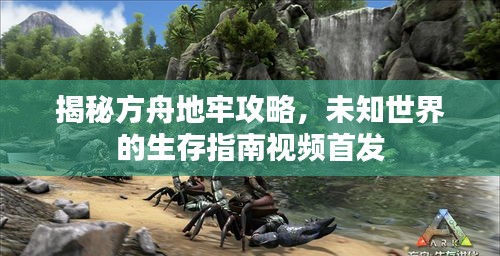 揭秘方舟地牢攻略，未知世界的生存指南视频首发