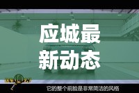 应城最新动态，今日家乡新鲜资讯速递