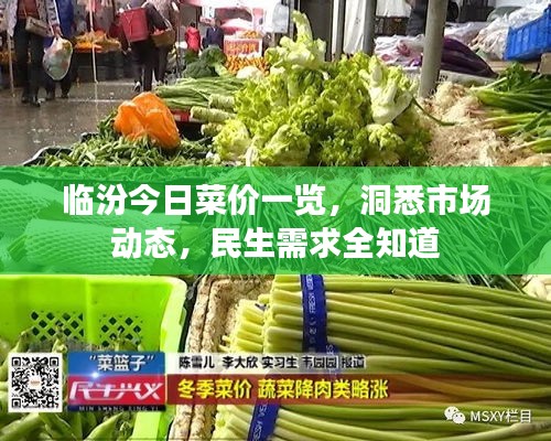 临汾今日菜价一览，洞悉市场动态，民生需求全知道