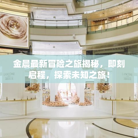 金晨最新冒险之旅揭秘，即刻启程，探索未知之旅！