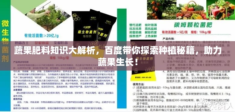 蔬果肥料知识大解析，百度带你探索种植秘籍，助力蔬果生长！