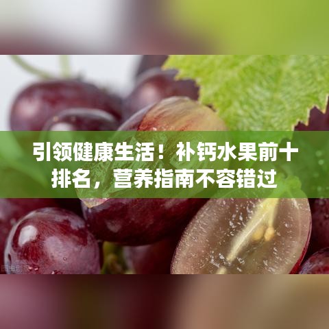 引领健康生活！补钙水果前十排名，营养指南不容错过