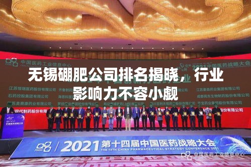无锡硼肥公司排名揭晓，行业影响力不容小觑