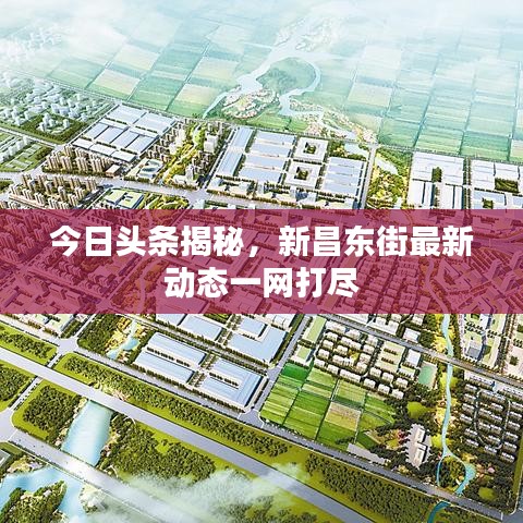 今日头条揭秘，新昌东街最新动态一网打尽