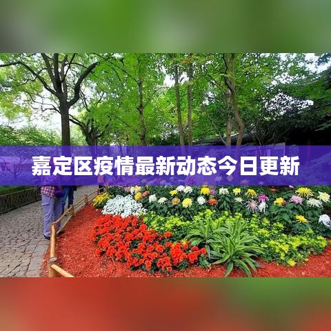 落土飞岩 第2页