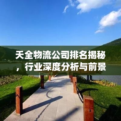 天全物流公司排名揭秘，行业深度分析与前景展望