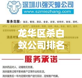 龙华区杀白蚁公司排名大揭秘，专业服务品质与信誉度双重解析