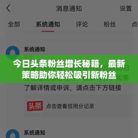 今日头条粉丝增长秘籍，最新策略助你轻松吸引新粉丝