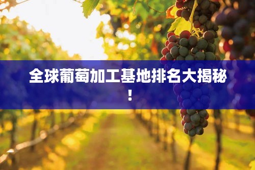 全球葡萄加工基地排名大揭秘！