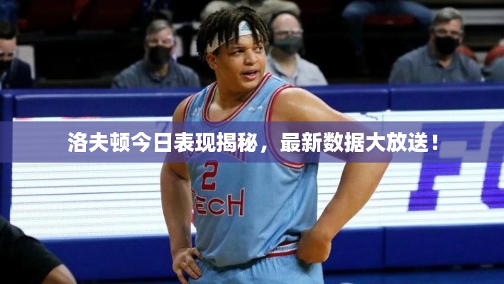 洛夫顿今日表现揭秘，最新数据大放送！