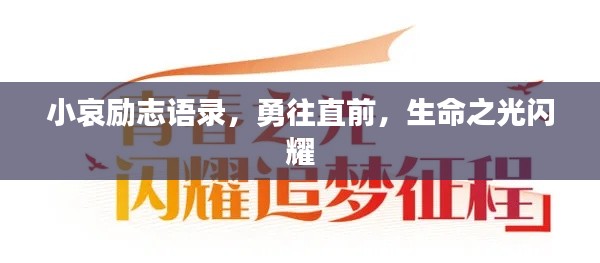 小哀励志语录，勇往直前，生命之光闪耀
