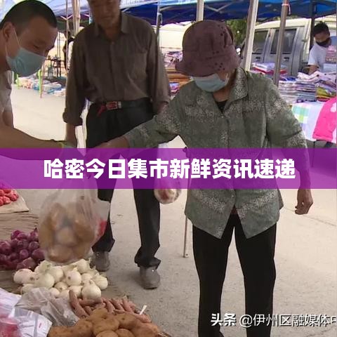 哈密今日集市新鲜资讯速递