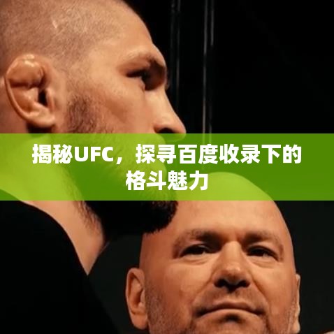 揭秘UFC，探寻百度收录下的格斗魅力