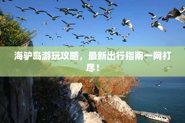 海驴岛游玩攻略，最新出行指南一网打尽！
