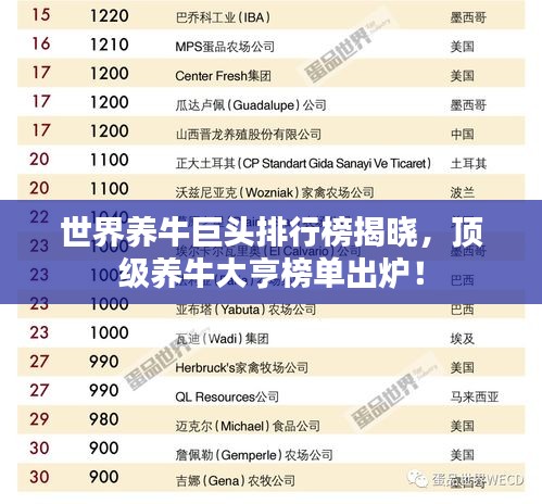 世界养牛巨头排行榜揭晓，顶级养牛大亨榜单出炉！