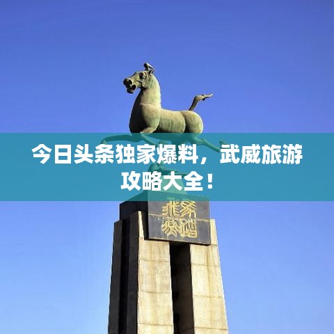 今日头条独家爆料，武威旅游攻略大全！