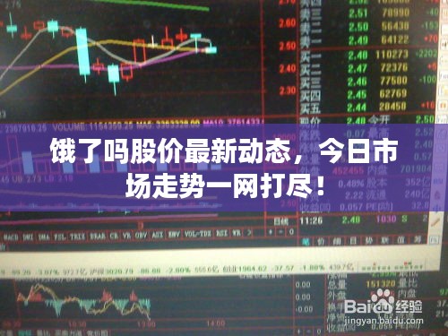 饿了吗股价最新动态，今日市场走势一网打尽！