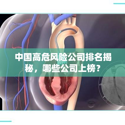 中国高危风险公司排名揭秘，哪些公司上榜？