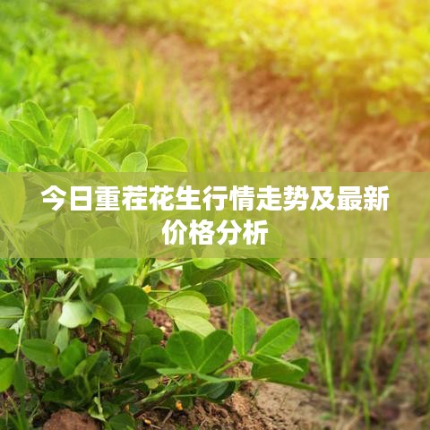 富贵浮云 第2页