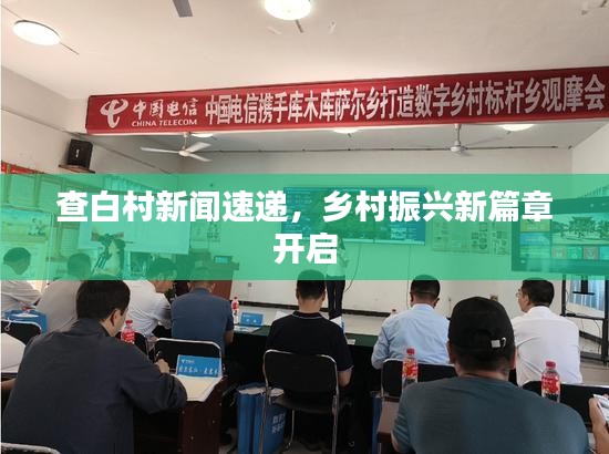 查白村新闻速递，乡村振兴新篇章开启