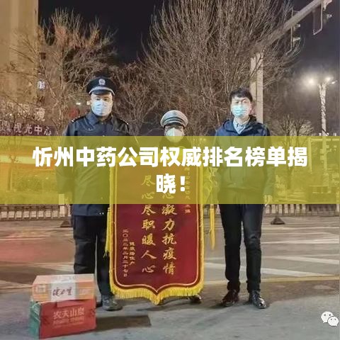 忻州中药公司权威排名榜单揭晓！