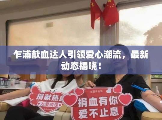 乍浦献血达人引领爱心潮流，最新动态揭晓！