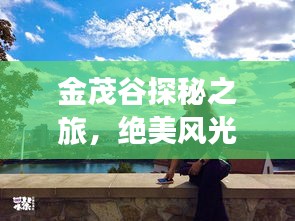 金茂谷探秘之旅，绝美风光与精彩体验一网打尽！