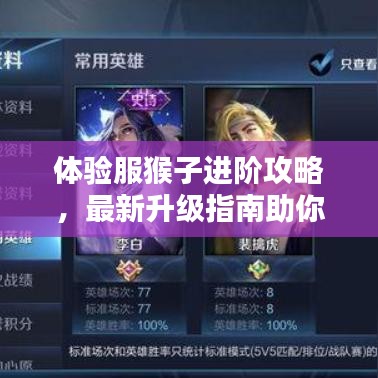 体验服猴子进阶攻略，最新升级指南助你轻松登顶！