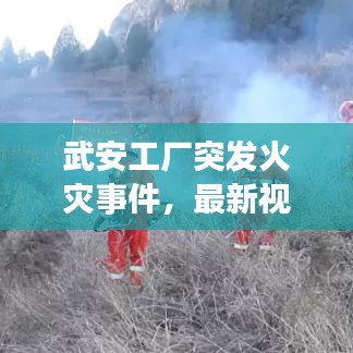 武安工厂突发火灾事件，最新视频报道揭秘现场情况