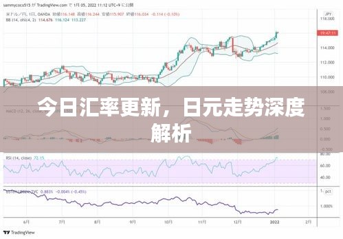 今日汇率更新，日元走势深度解析