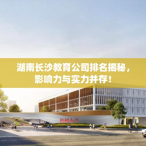 湖南长沙教育公司排名揭秘，影响力与实力并存！