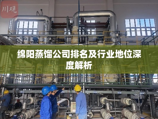 绵阳蒸馏公司排名及行业地位深度解析