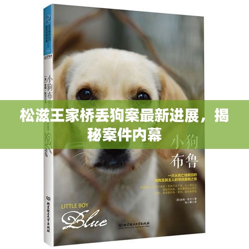 松滋王家桥丢狗案最新进展，揭秘案件内幕