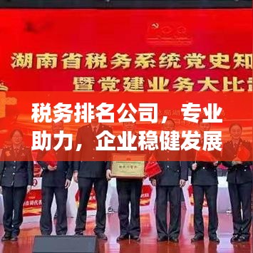 税务排名公司，专业助力，企业稳健发展的强劲引擎