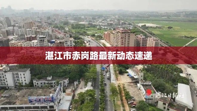 湛江市赤岗路最新动态速递