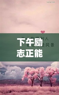 下午励志正能量语录，激发无限动力，开启活力人生！