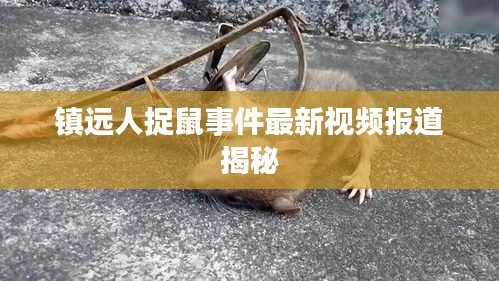 镇远人捉鼠事件最新视频报道揭秘