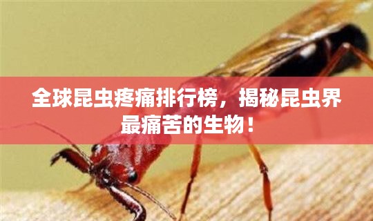 灰飞烟灭 第2页