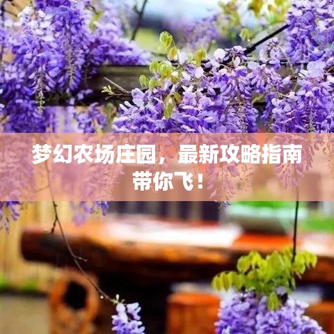 梦幻农场庄园，最新攻略指南带你飞！