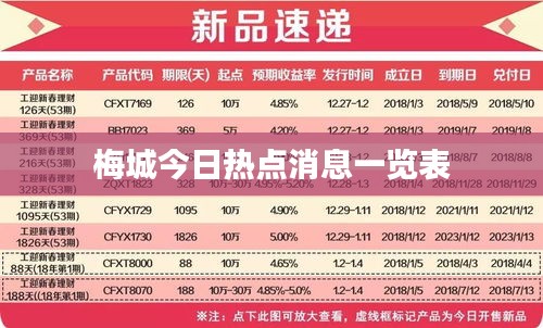 梅城今日热点消息一览表
