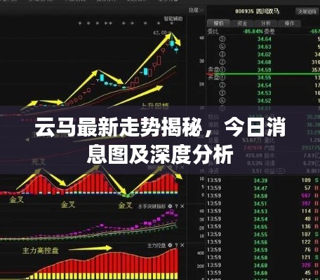 云马最新走势揭秘，今日消息图及深度分析