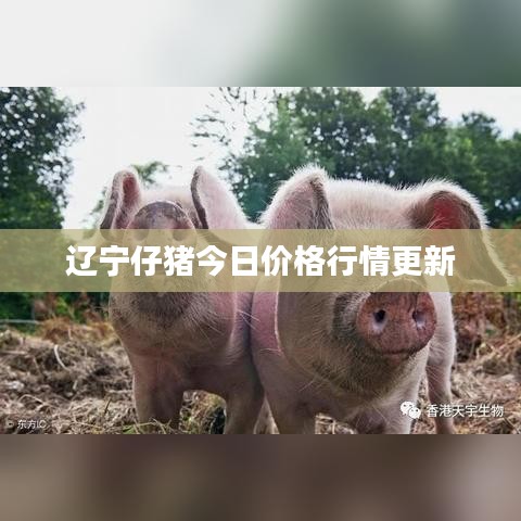 辽宁仔猪今日价格行情更新