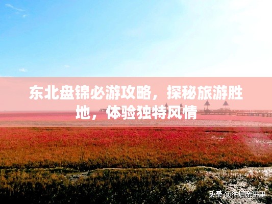东北盘锦必游攻略，探秘旅游胜地，体验独特风情
