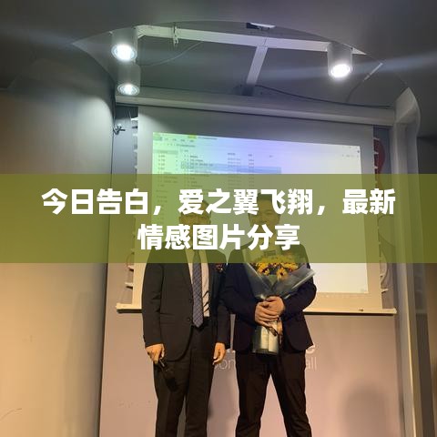 今日告白，爱之翼飞翔，最新情感图片分享