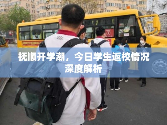抚顺开学潮，今日学生返校情况深度解析
